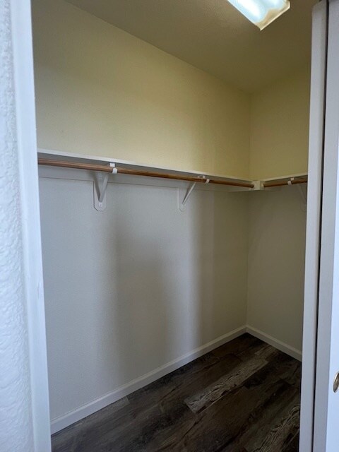 Foto del edificio - 309 Queencrest Ct