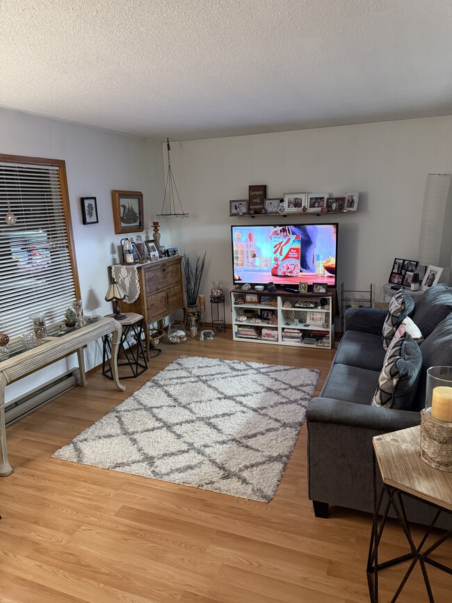 Photo du bâtiment - 12 Shanahan Rd