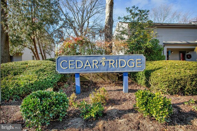 Foto del edificio - 1007 Cedar Ridge Ct