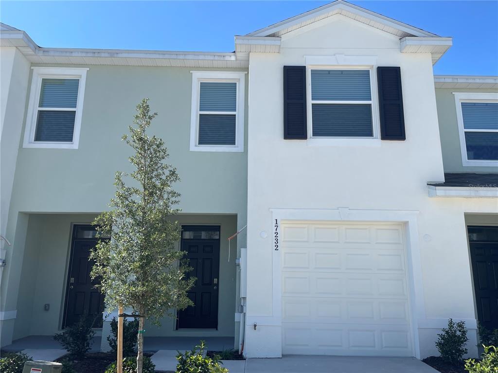 Primary Photo - 17232 Bigleaf Mahogany Ln