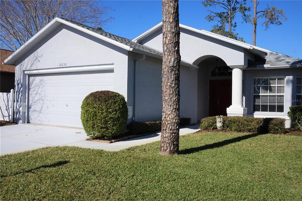 18236 ster Grove Dr, Hudson, FL 34667 House Rental in Hudson, FL