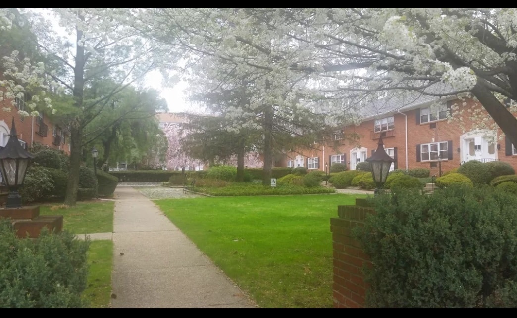Courtyard - 25 River Rd