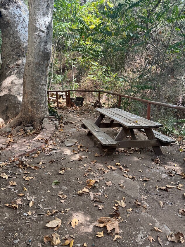 Foto principal - 1440 Old Topanga Canyon Rd