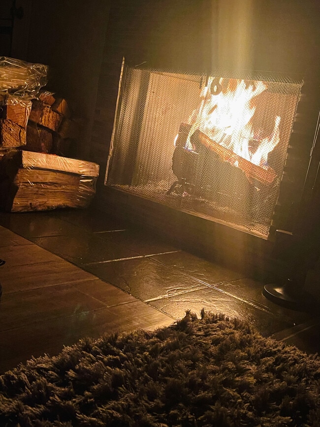 Fireplace - 2148 Hazlitt Dr
