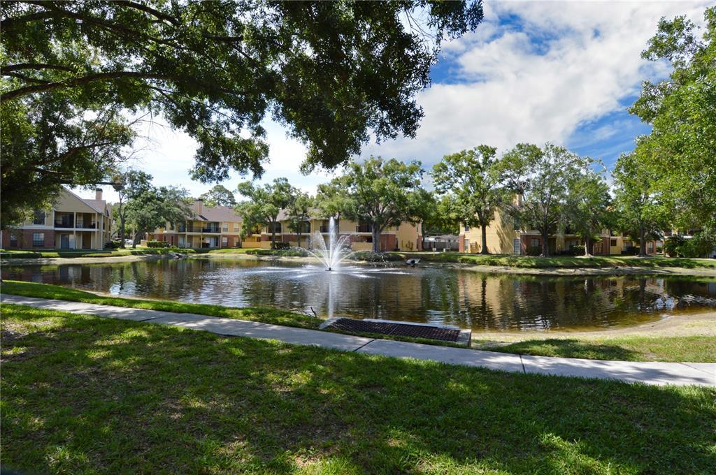 Foto principal - 8649 Fancy Finch Dr