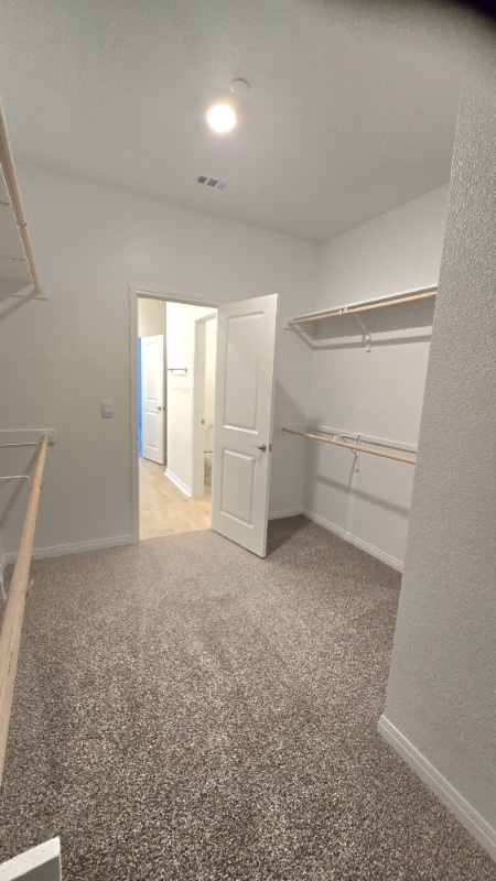 Building Photo - 2542 Ophelia Levi Ln