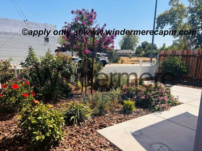 Foto del edificio - Modern Studio ADU with Premium Features!