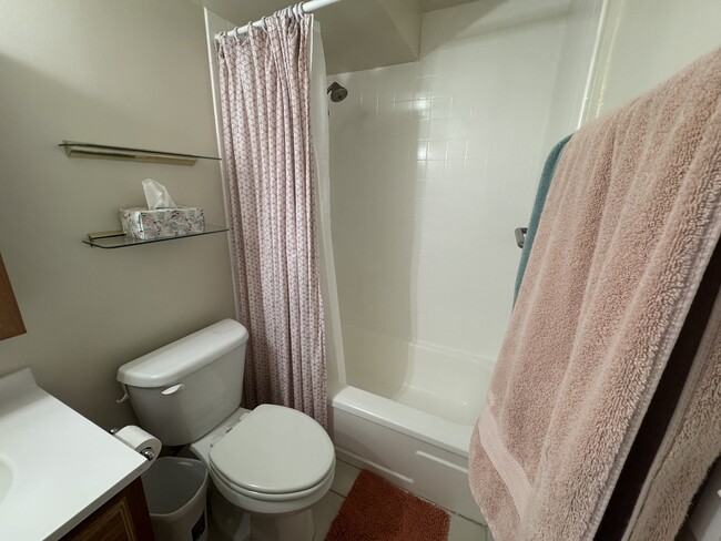 Recent updates to tub/shower - 68 Akule St