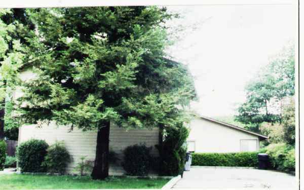 Primary Photo - 439 Earle St