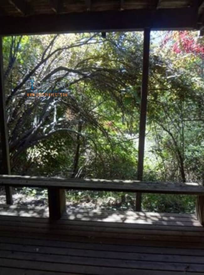 Foto del edificio - 40 Avon Rd