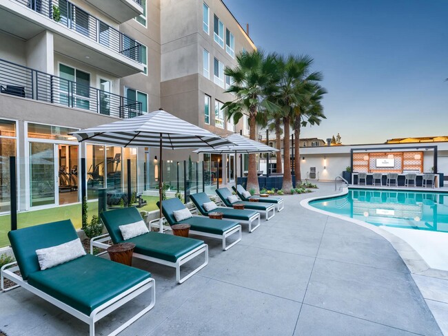 Relax by the resort-style pool at Modera Pomona, featuring a lounge area, seating, and palm trees. - Modera Pomona