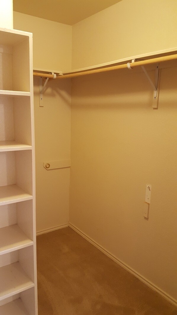 Foto del edificio - 317 Moonstone Dr