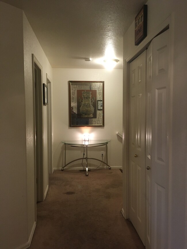 Entry Hallway - 4349 Parque Vista Pt