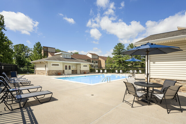 Piscina - The Apartments at Elmwood Terrace