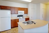 Unit 223 at 1800 Post Road in San Marcos, Texas is a single-story apartment designed for comfortable, everyday living. The open-concept kitchen serves as a central hub of the unit, featuring warm medium-tone wood cabinetry, light countertops, a double-basin sink set into a curved island peninsula, and white appliances including a refrigerator, electric range, and microwave. Tile flooring runs through the kitchen and entry areas, providing a durable and easy-to-clean surface. The living area near the front entry offers track lighting, built-in open shelving, and a glass door that brings in natural light. Bedrooms are carpeted and include ceiling fans, windows with exterior views, and closets with six-panel doors. One bedroom features dual windows for added natural light. The bathrooms are finished with warm tile flooring, a tub-shower combination with white tile surround, wood-toned cabinetry, and a vanity with a single sink. A dedicated in-unit laundry closet with washer/dryer hookups and overhead shelving adds practical convenience. Throughout the unit, neutral walls and consistent finishes create a clean, cohesive aesthetic suitable for a variety of living arrangements.