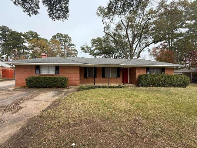 Building Photo - Newly Renovated 4 Bedroom 2 bath Home in Southern Hills