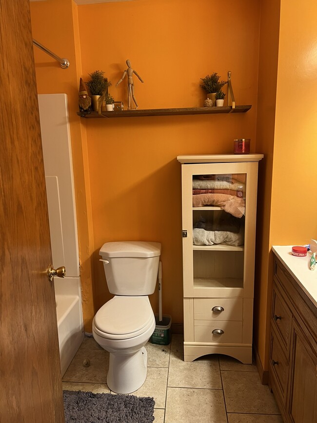 Main bathroom with tub / shower - 340 Chapman Rd