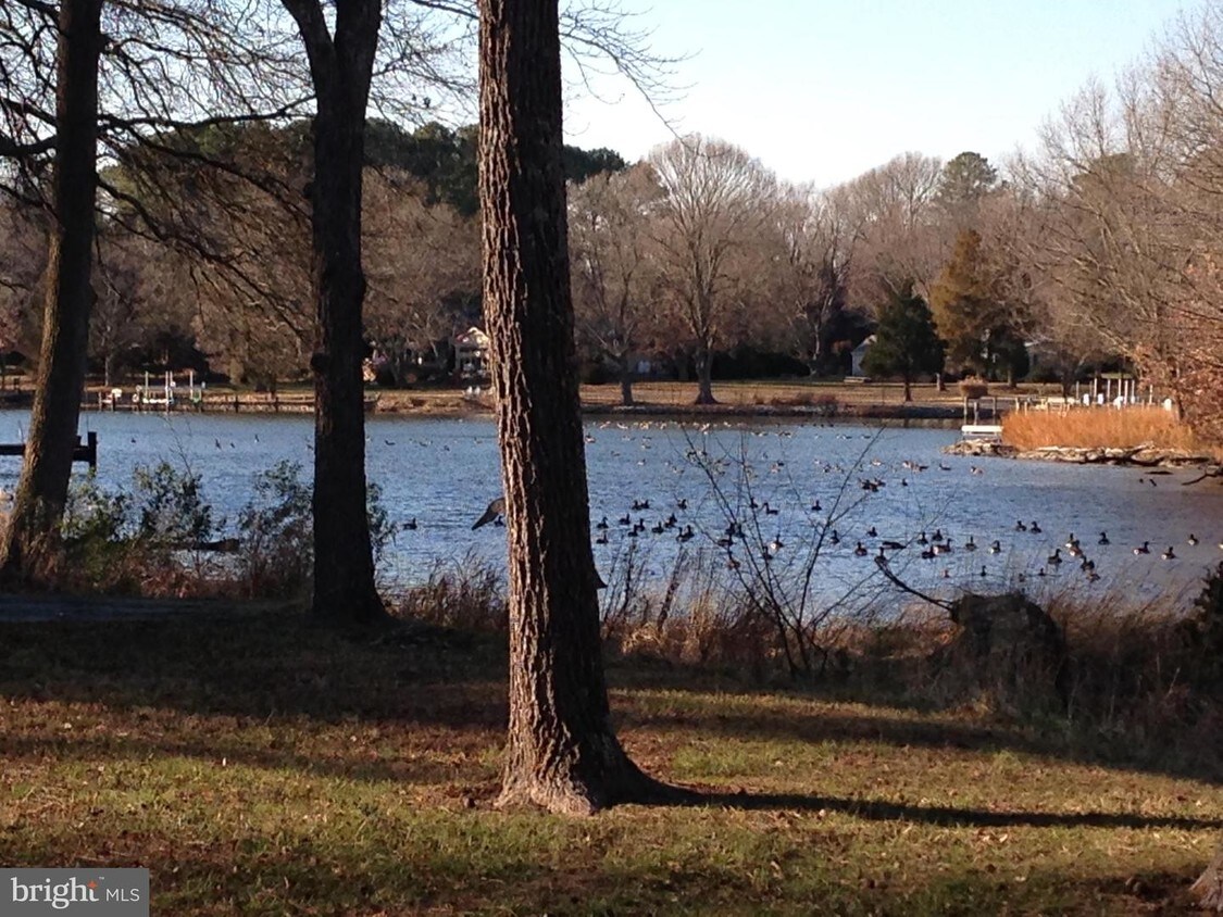 7334 Waverly Island Rd, Easton, MD 21601 House for Rent in Easton, MD