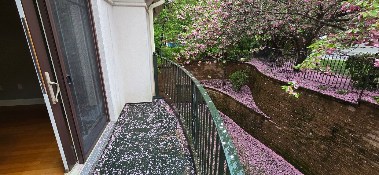 Foto principal - 558 E Merrimack St