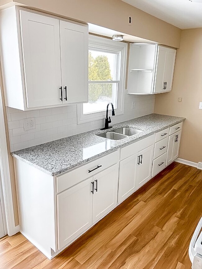 Quartz countertops and double sink - 1303 Coplon Ave