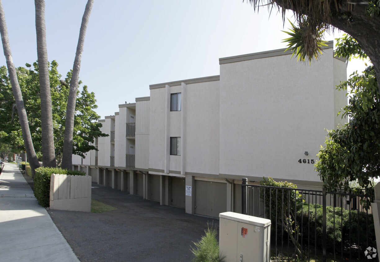 Primary Photo - Pico Palms