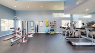 This fitness center offers a comprehensive workout environment designed to support a wide range of exercise routines. The space is finished with durable rubber flooring throughout, providing a safe and practical surface for all types of training. Soaring ceilings with a tiered design lend an open, spacious feel to the interior, while large windows and clerestory windows flood the space with abundant natural light, offering views of the surrounding greenery.

The cardio zone features multiple treadmills, elliptical trainers, and upright stationary bikes, providing ample options for aerobic exercise. A dedicated strength training area includes a cable machine, weight bench, dumbbell rack, and a chin-up and dip station, catering to a full-body resistance training regimen. A well-stocked accessory station holds stability balls, medicine balls, and resistance bands for functional and flexibility training.

A large wall-mounted mirror spans one end of the space, enhancing the sense of depth and allowing users to monitor their form during workouts. The walls are painted in a calm blue-grey tone, creating an inviting and motivating atmosphere. Recessed lighting and proper ventilation complete the well-appointed interior. French doors provide a welcoming entry and contribute to the bright, open character of this fitness facility.