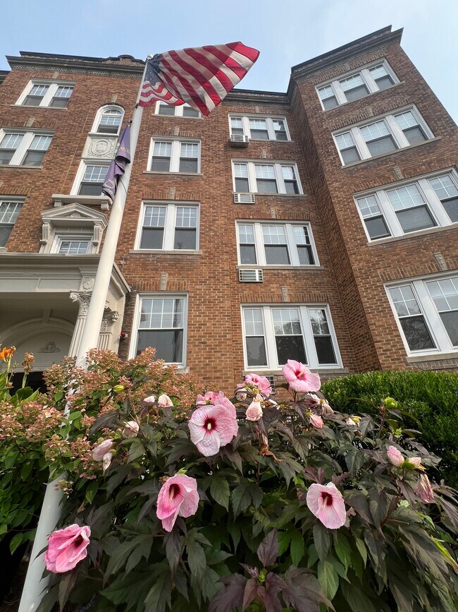 Foto del edificio - 1 Langdon St