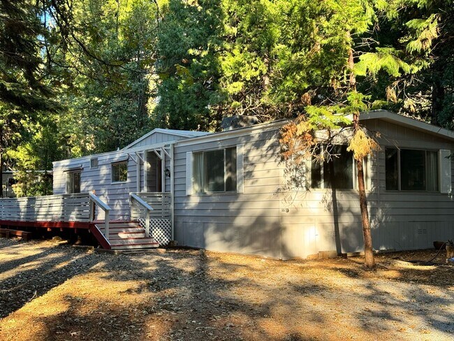 Building Photo - Cozy Mountain Rental!