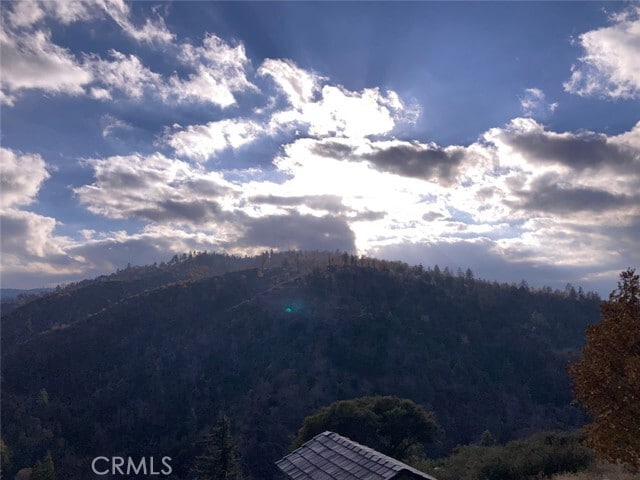 Foto del edificio - 1620 Edgecliff Dr