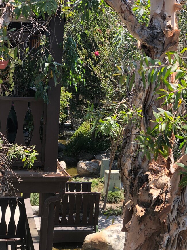 Vista al patio (1) - 12394 Rock Springs Ct