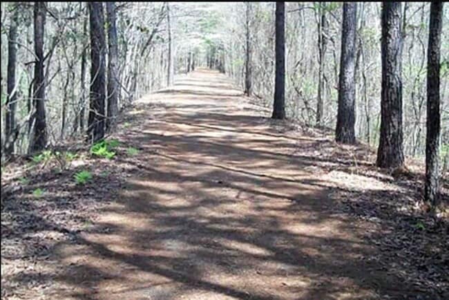 Building Photo - 2 Bed 1 Bath Condo with Utilities Included!