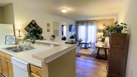 This single-story space showcases an open-concept design that seamlessly connects the kitchen and living areas. The kitchen features a raised peninsula with a light-toned countertop, an undermount sink, and warm wood cabinetry underneath, providing both functional workspace and a natural divider between areas. Hardwood-style flooring extends throughout, adding warmth and visual continuity across the space.

The living area is bathed in natural light streaming through large windows dressed with sheer curtains and horizontal blinds, creating a bright and airy atmosphere. The space comfortably accommodates a seating arrangement anchored by a patterned area rug, a coffee table, and side tables, while a wall-mounted flat-screen television serves as a focal point.

A glimpse into an adjoining bedroom is visible through a doorway, suggesting a well-connected floor plan. Decorative greenery and wall art are placed thoughtfully throughout, contributing to an inviting ambiance. The textured ceiling and neutral wall tones provide a clean, understated backdrop that complements the overall warmth of the interior.