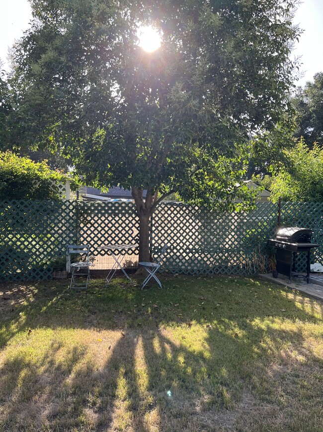 Backyard - 511 E Rio Grande St