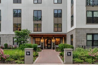 Interior Photo - Luna on Pine