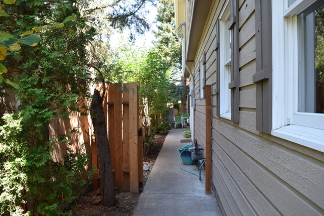 Side yard - 419 W Dickerson St