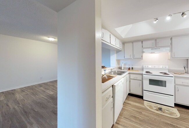 Interior Photo - Circle Sunrise