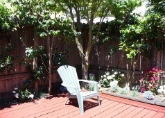Foto principal - 442 Tehama St
