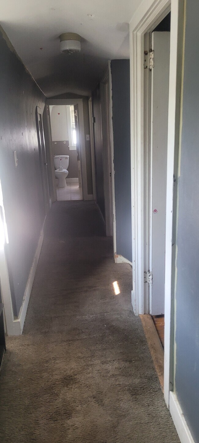 HALLWAY/BATHROOM - 46 Monahan Ct