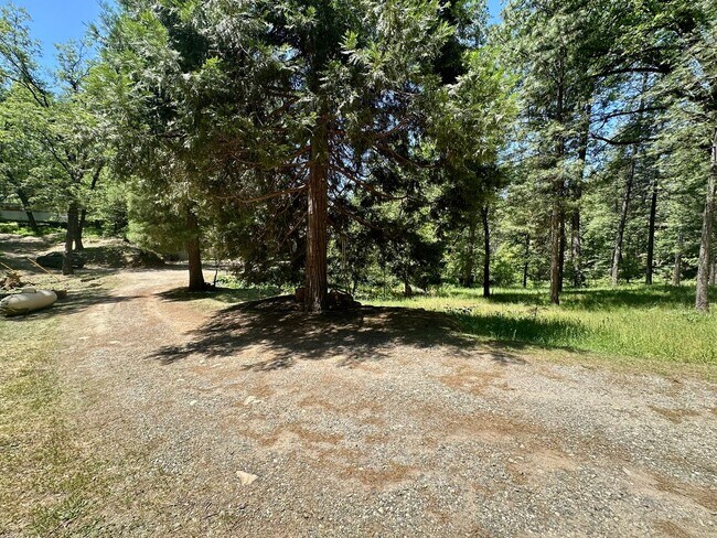 Foto del edificio - 4 Bedroom 2.5 Bathroom Home on 2 Acres Clo...