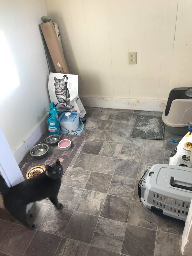 Building Photo - 25 Lourdes Ave