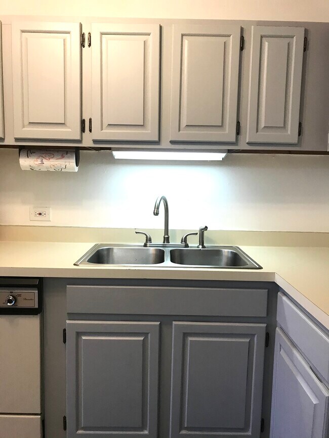 899 S Plymouth Ct Unit 306, Chicago, IL 60605 Condo for Rent in