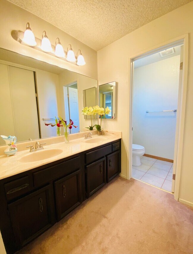 Foto del edificio - Spacious 2 story home in Hercules