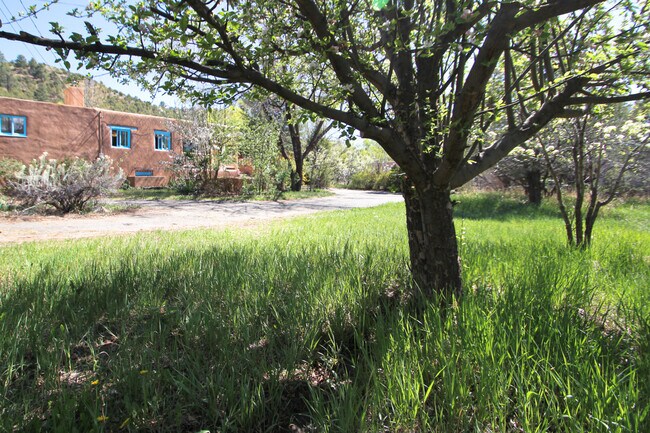 Building Photo - Canyon Road Mountain House
