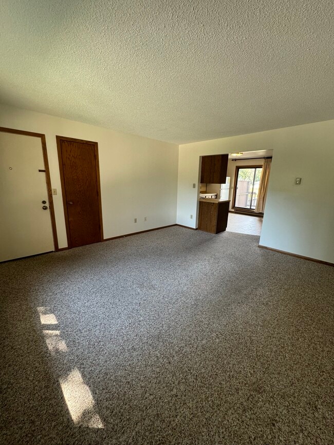 Living room - 513 Kerry Dr