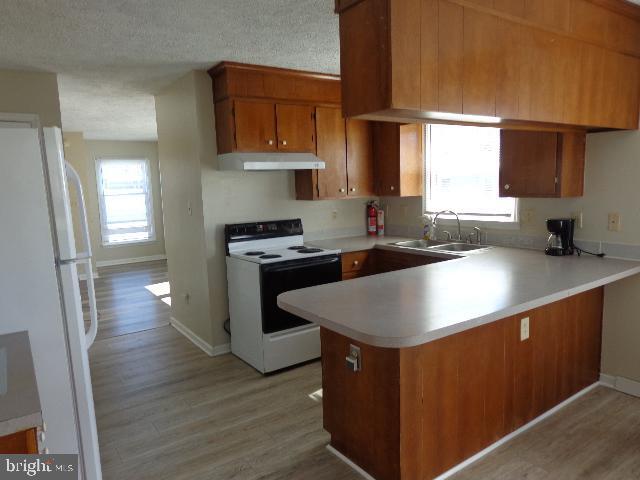 Building Photo - 907 Oak St