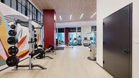 Located at 833 Summer St in Stamford, Connecticut, this professionally designed fitness facility spans a generous single floor, offering a comprehensive and well-appointed exercise environment. The main gym area features light hardwood-style flooring, soaring ceilings with elegant slatted wood paneling, and recessed lighting throughout. Large floor-to-ceiling windows flood the space with natural light and offer views of the surrounding streetscape, creating an open and energizing atmosphere. Bold burgundy accent columns punctuate the main floor, which is equipped with a full row of treadmills, stationary bikes, rowing machines, free weights, a dumbbell rack, and cable machines. A striking large-scale mural adds a vibrant artistic focal point to the strength training zone. A separate studio room features deep teal accent walls, floor-to-ceiling mirrors with a mounted flat-screen display, a ballet barre, and dedicated space for yoga, Pilates, and functional training with battle ropes and suspension equipment. An outdoor turf courtyard extends the facility beyond its walls, providing open-air training space complete with sled equipment and pull-up stations under open sky, enclosed by the building's architecture for a private, focused workout environment.