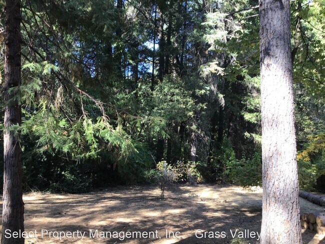 Building Photo - 2 br, 2 bath House - 11638 Willow Valley Road