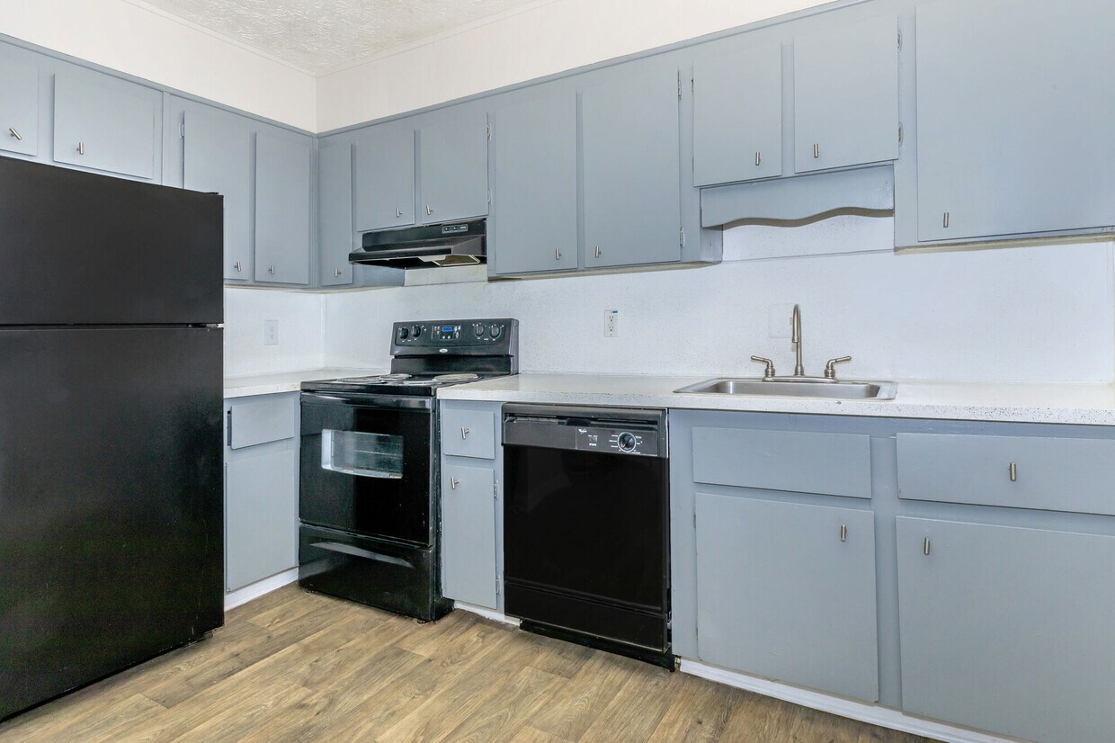 THE CAROLINA Apartments in Lawrenceville, GA