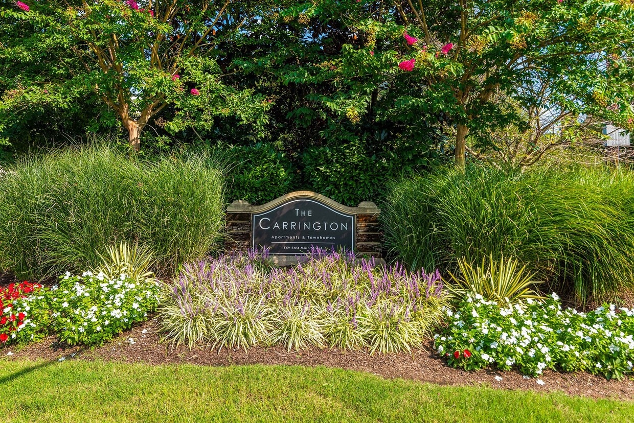 Primary Photo - The Carrington