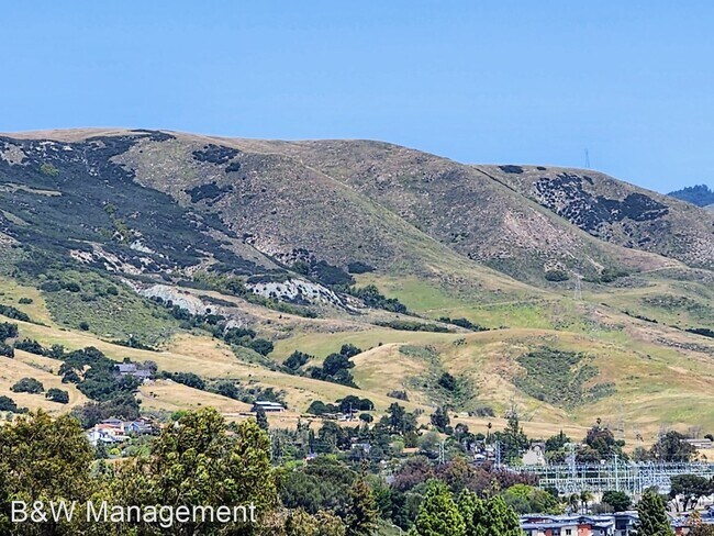Foto del edificio - 2 br, 3 bath House - 3344 Rockview Court